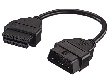 ���������� GAZ Westport